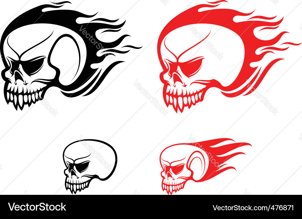 Skull Flames Warning vector image