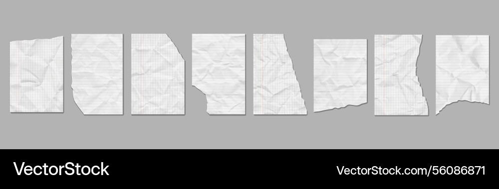 Torn crumpled pieces of paper notebook pages Vector Image