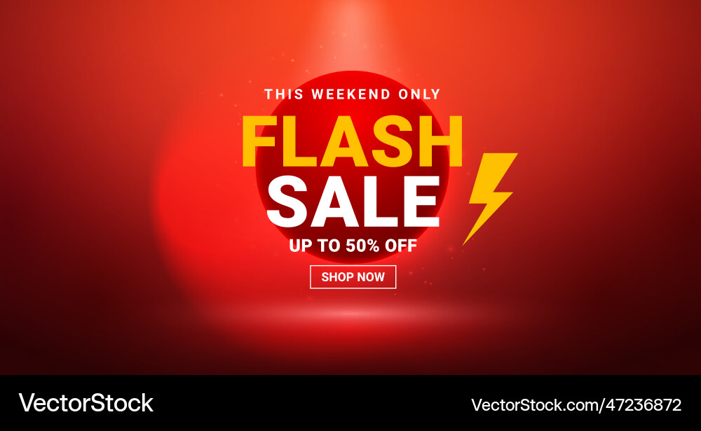 Flash sale banner offer promo sticker template Flash sale banner offer promo sticker template vector image