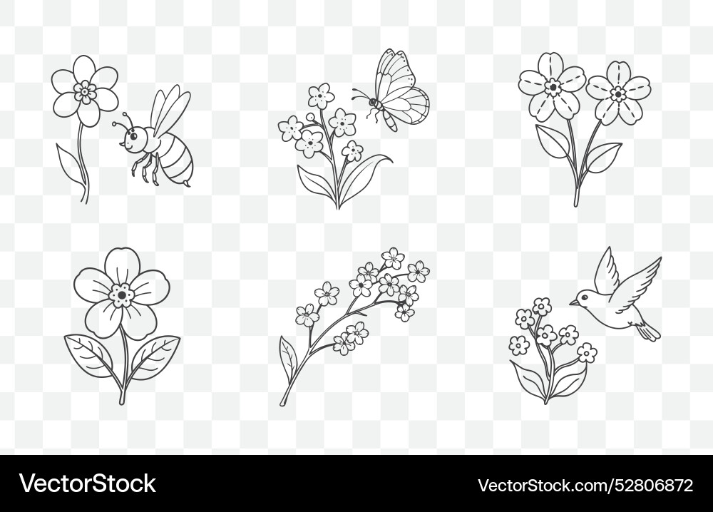 Print forget me not flower line art set Print forget me not flower line art set vector image