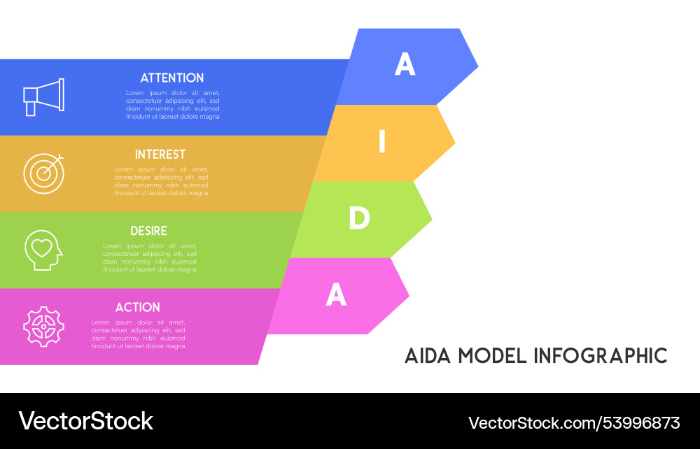 Aida model infographic with colorful horizontal Vector Image