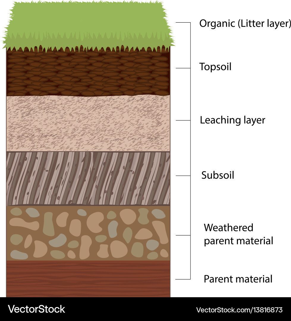 Soil horizons and layers Soil horizons and layers vector image