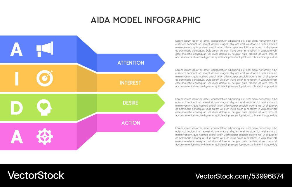 Aida model infographic with colorful horizontal Aida model infographic with colorful horizontal Vector Image