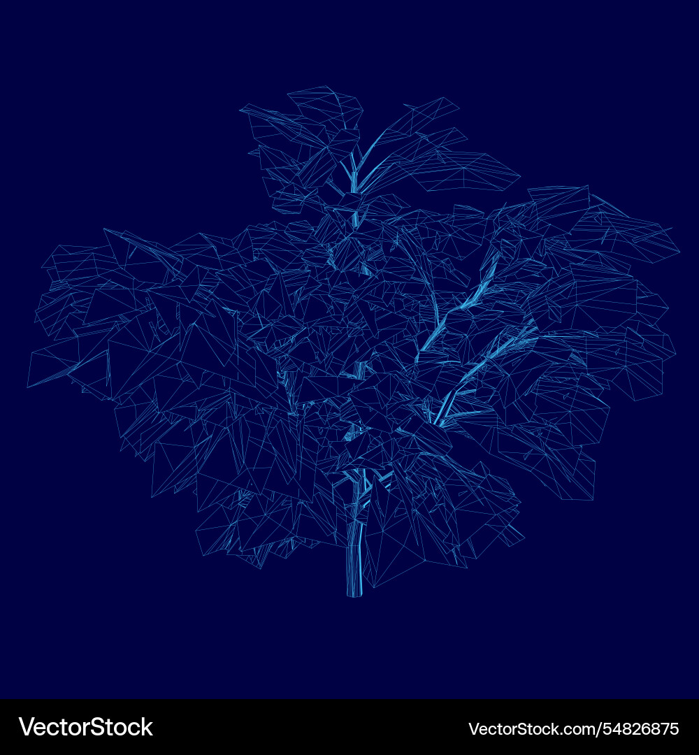 Wireframe tree on dark blue tech background Vector Image