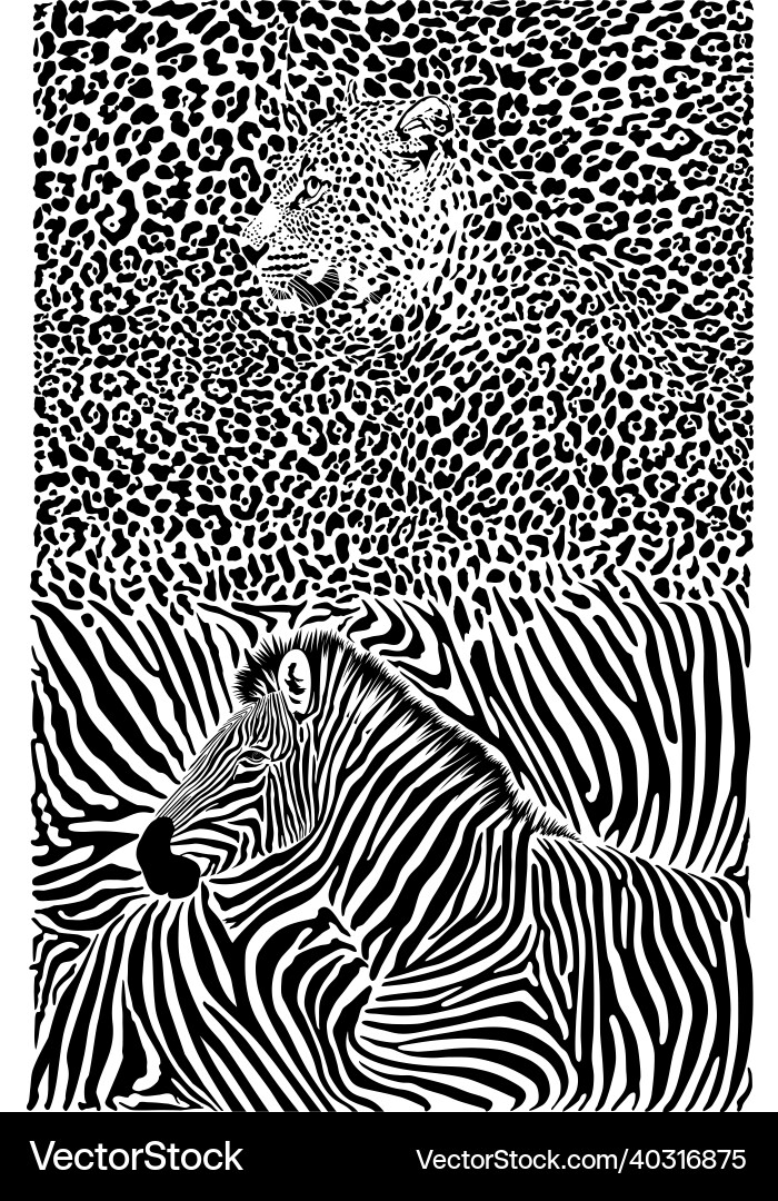 Zebra and Leopard Pattern vector image