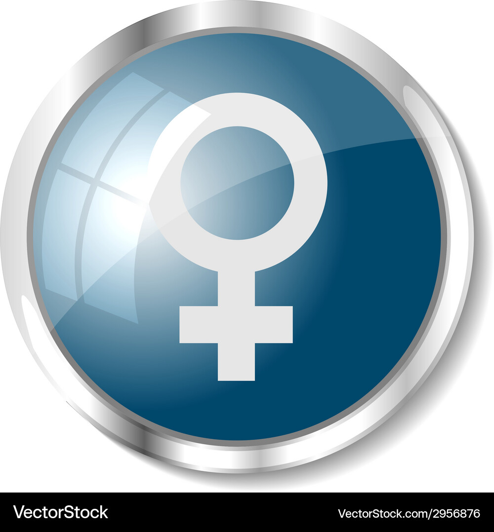 Blue web button Vector Image