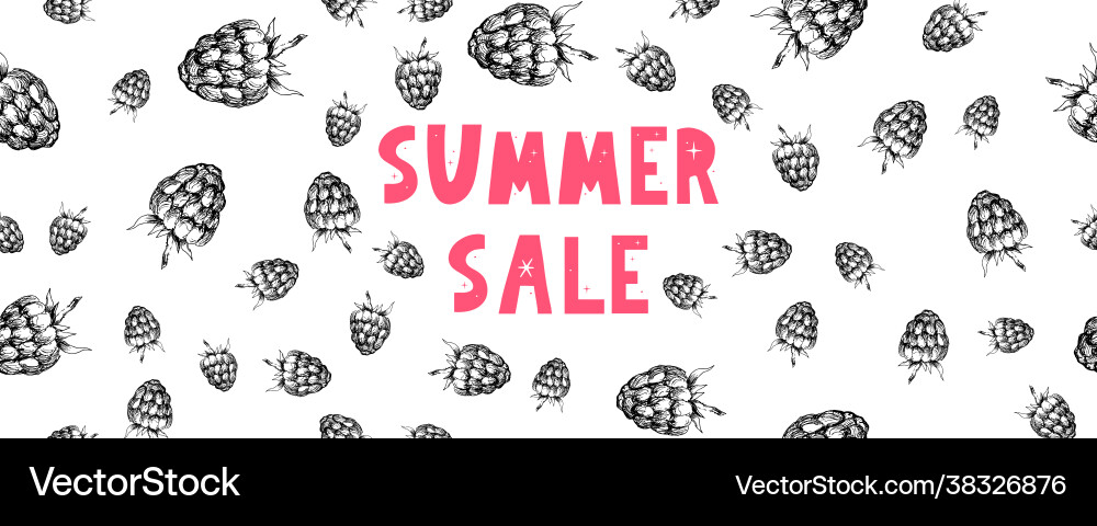 Sommer-Verkauf Banner mit Obst Himbeere Beeren Vektorbild