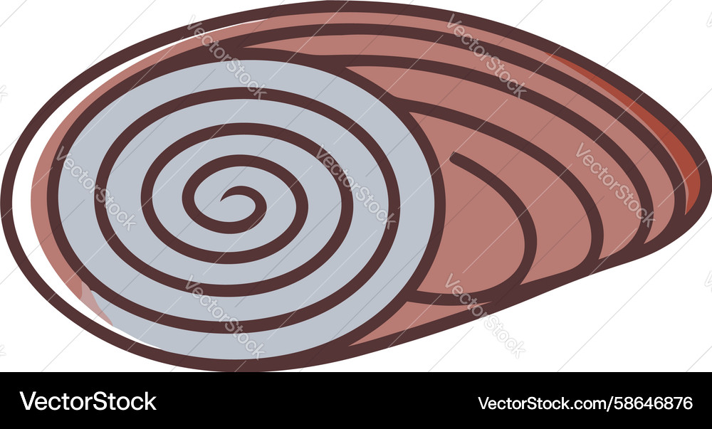 Swirling Shell Art Pattern Vector Image