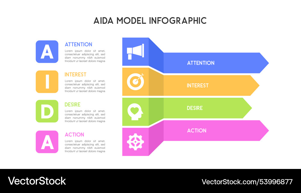 Aida model infographic with colorful horizontal Aida model infographic with colorful horizontal vector image