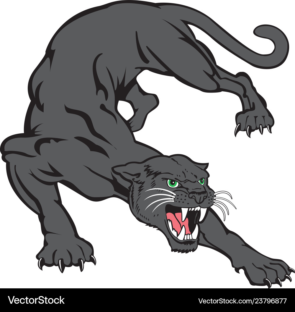 Panther Mascot Logo Vector Image