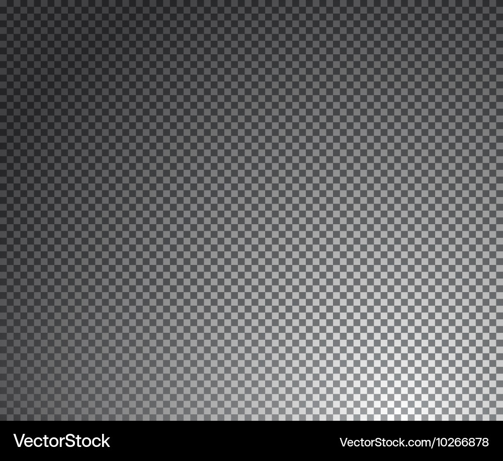Black and White Transparency Grid vector image