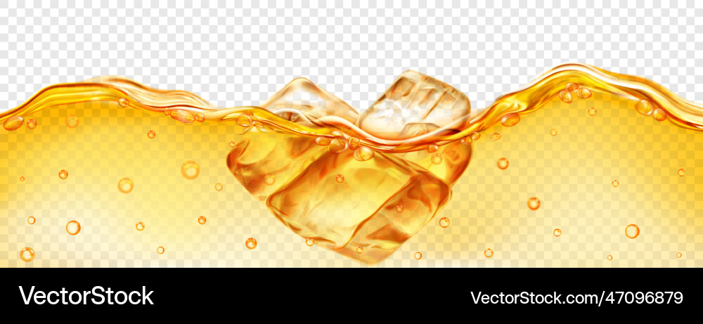 Ice cubes floating in water Vector Image