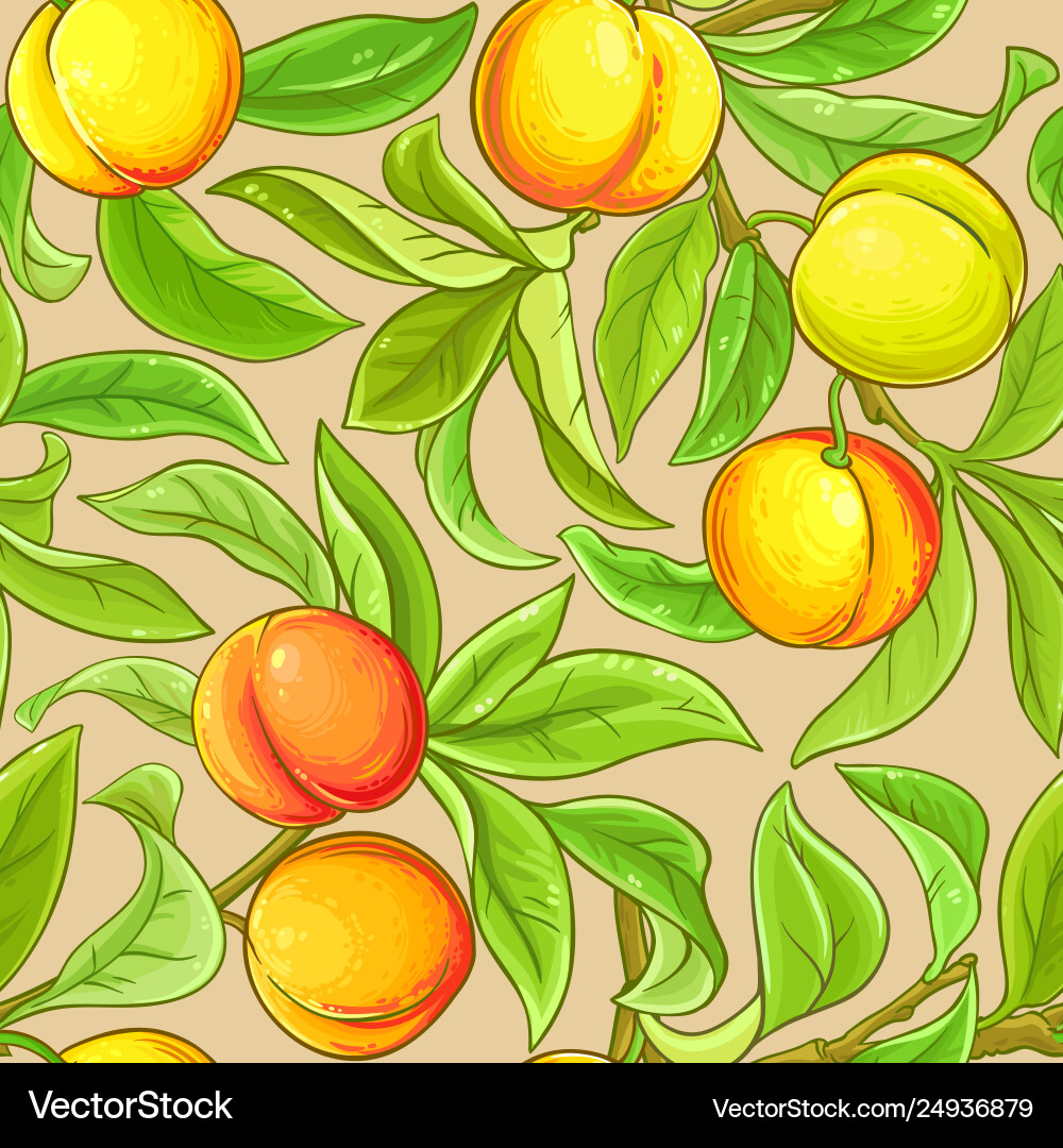 Peach branches pattern on color background Peach branches pattern on color background Vector Image