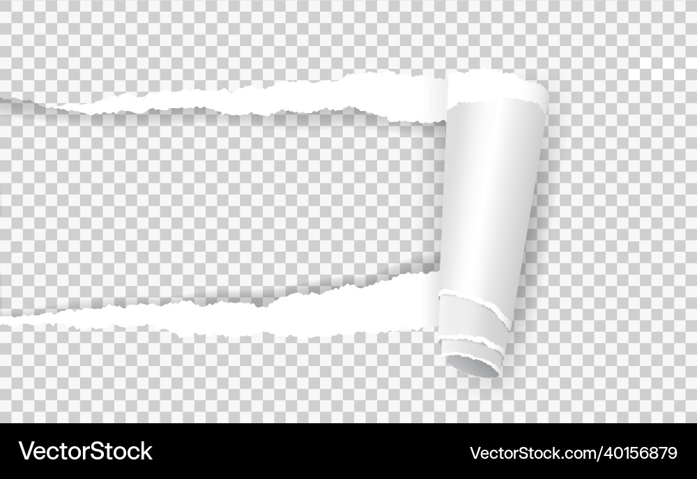 Torn paper with rolled edge ripped notebook page Torn paper with rolled edge ripped notebook page vector image