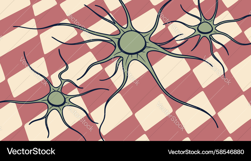Neuron Network Brain Activity Pattern Vector Image