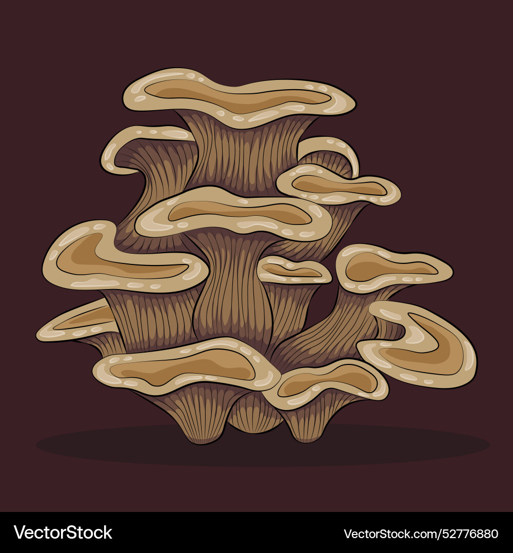 Oyster mushroom cartoon style isolated Vector Image