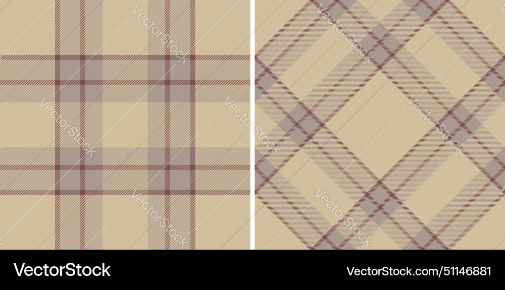 Check textile fabric of seamless background with Vector Image