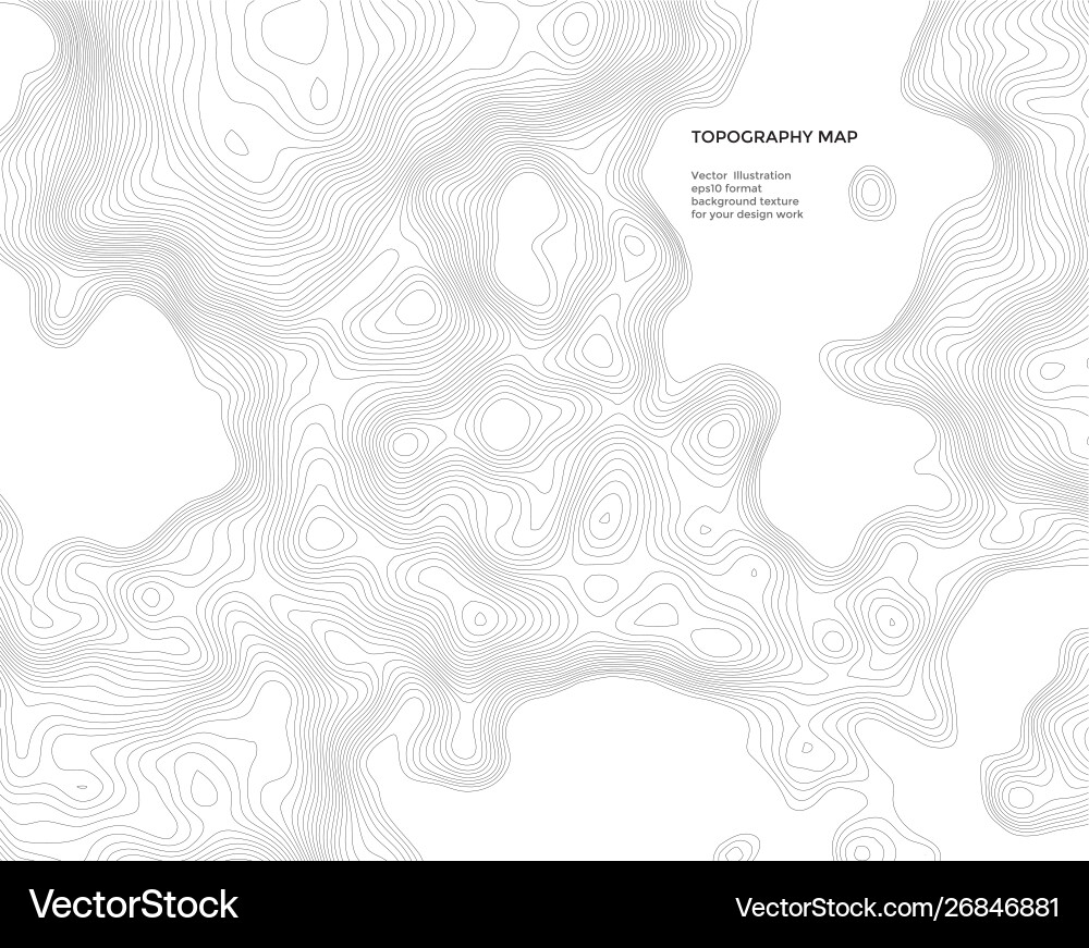 Design element topography map abstract vector image