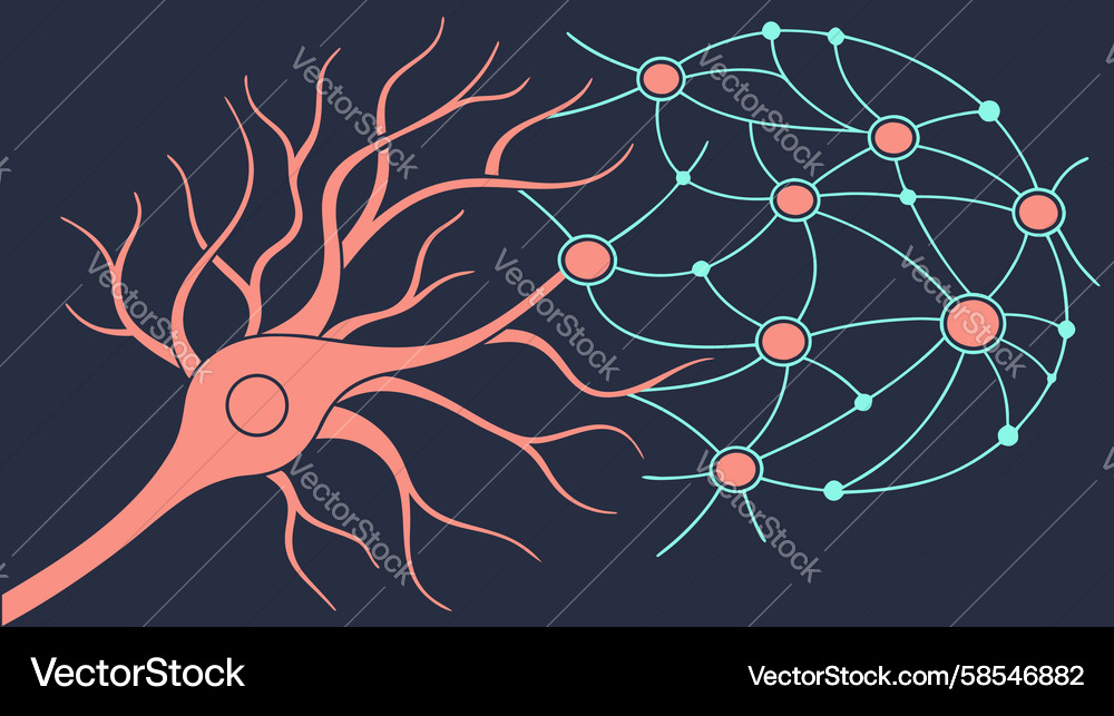 Neuron Cell Synaptic Network Vector Image