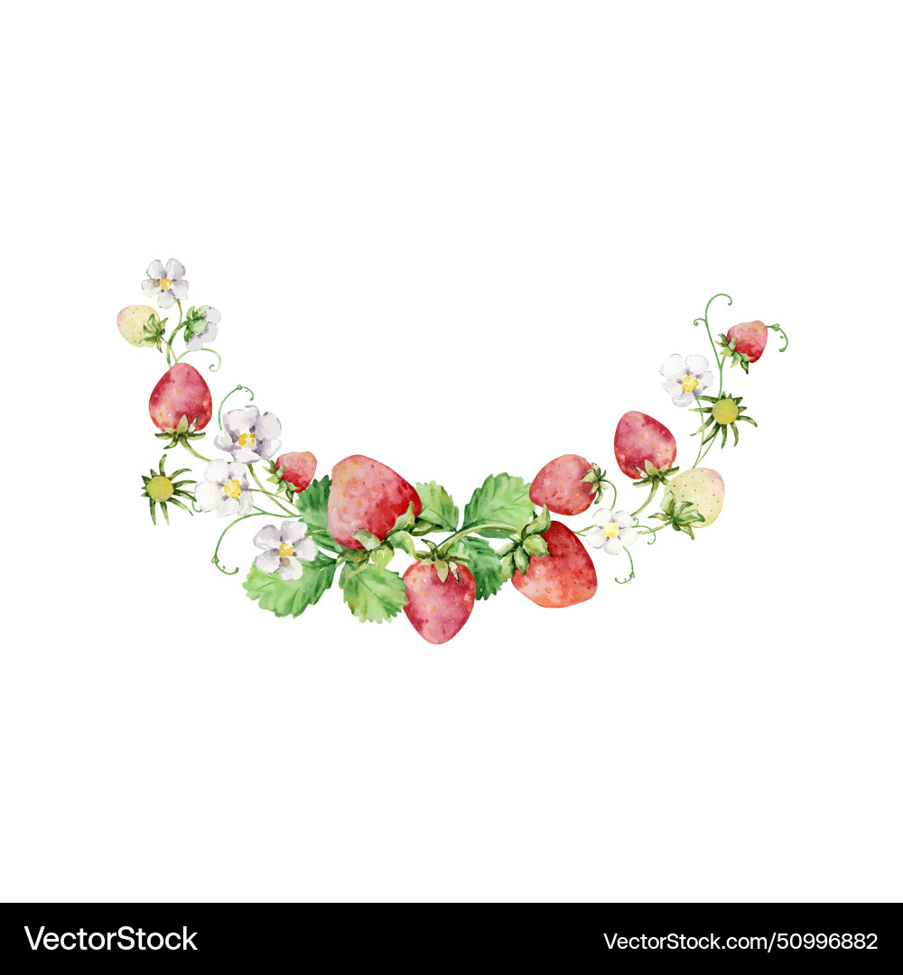Watercolor strawberries wreath red berries Vector Image