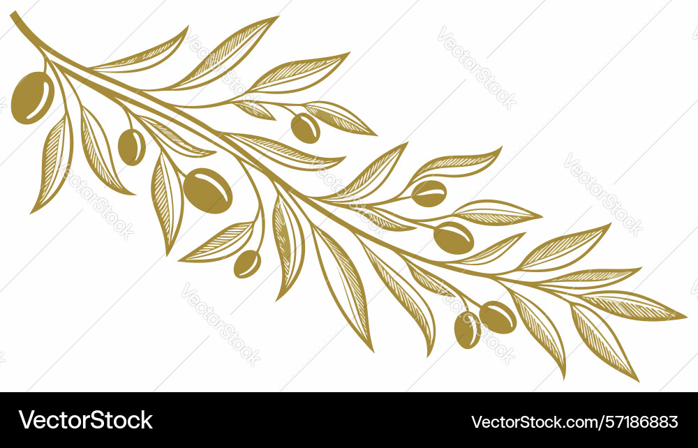 Fresh olive branch botanical design generative ai Vector Image