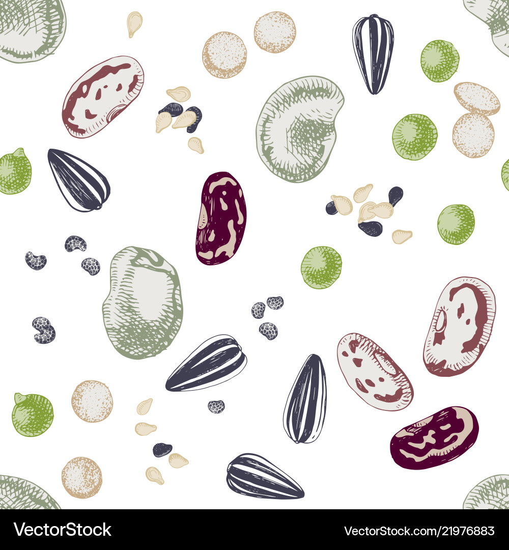 Retro Seed & Bean Pattern vector image