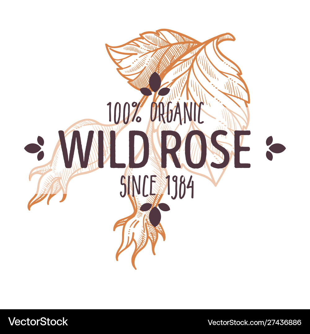 100 percent organic wild rose hips label for all 100 percent organic wild rose hips label for all vector image