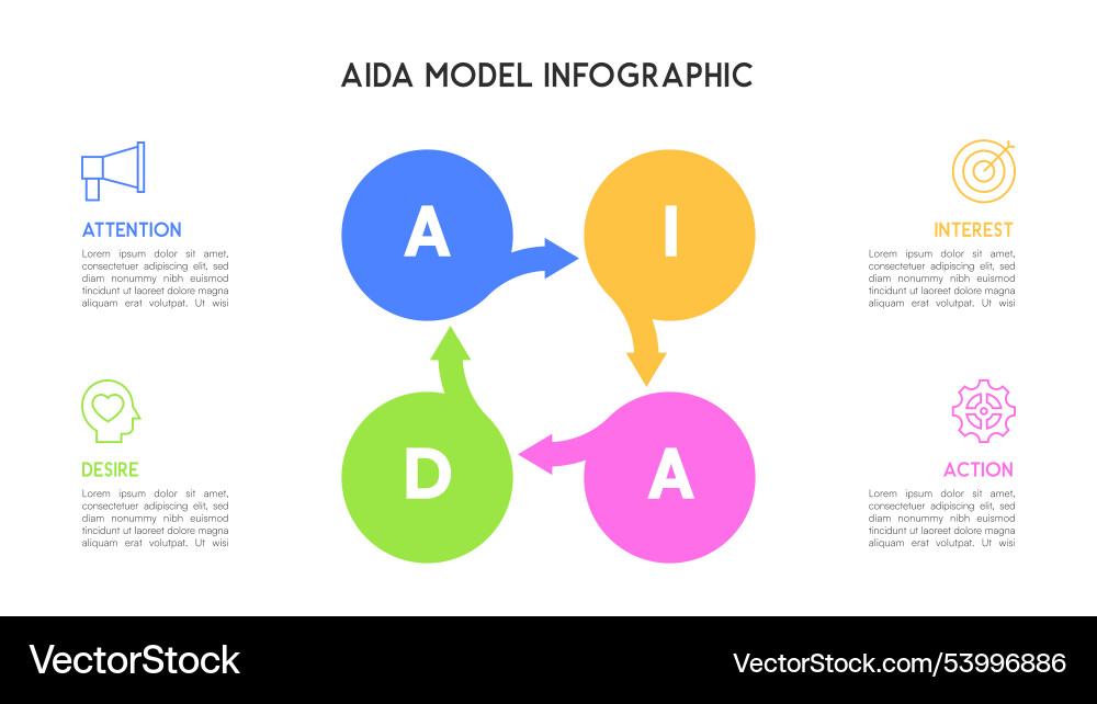 Aida model infographic with colorful circles Aida model infographic with colorful circles vector image