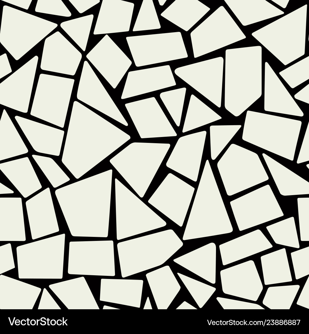 Irregular Stone Mosaic Pattern vector image