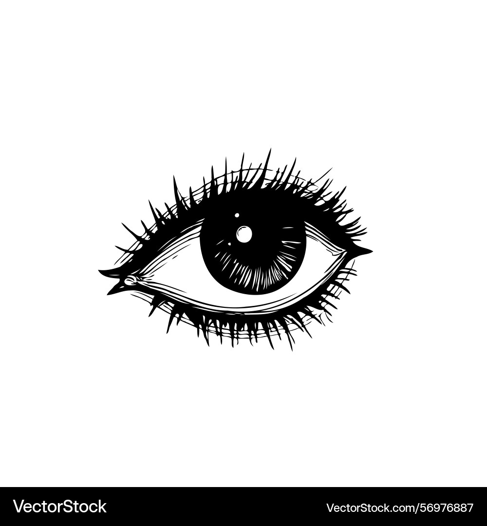 Monochrome rendering capturing the intricate Vector Image