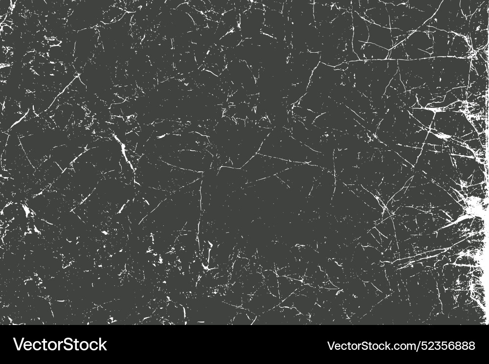 Paper texture Royalty Free Vector Image - VectorStock