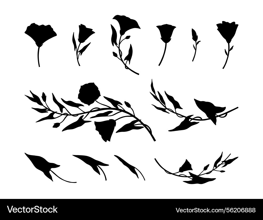 Set von Silhouette bindweed Blumen und Blätter Set von Silhouette bindweed Blumen und Blätter vektorbild