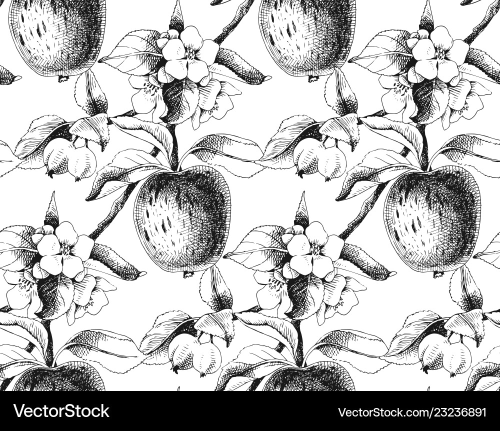 Apple Blossom Seamless Pattern vector image