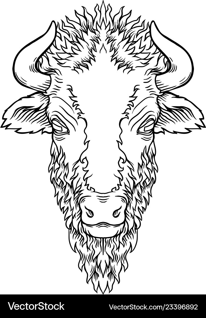 A buffalo head design on white vector image