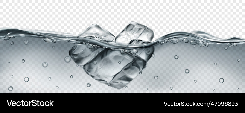 Ice cubes floating in water Vector Image