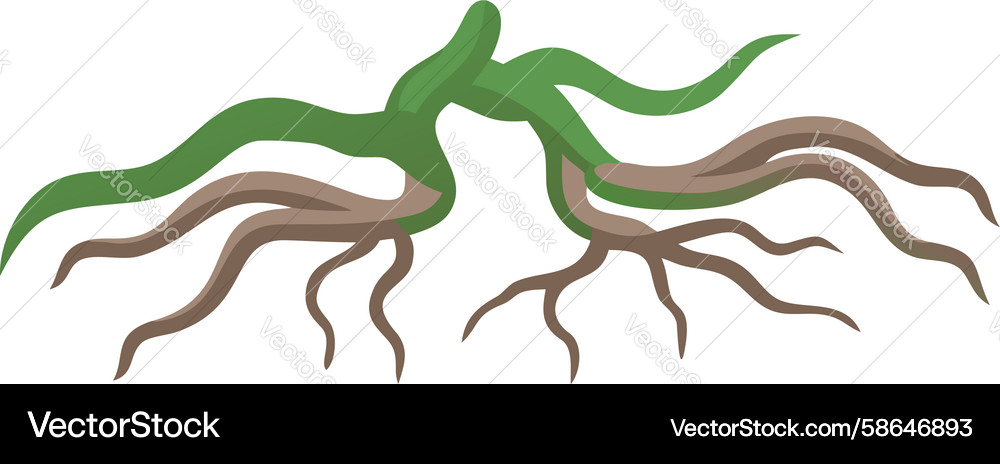 Raw Tree Roots Cluster Vector Image