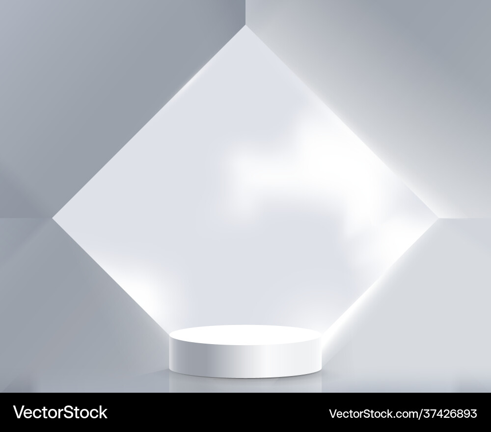 White product display mock up with geometric White product display mock up with geometric Vector Image
