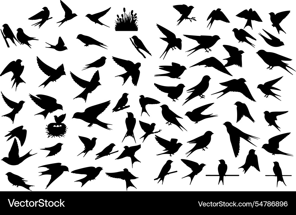 Barn swallow silhouette collection Vector Image