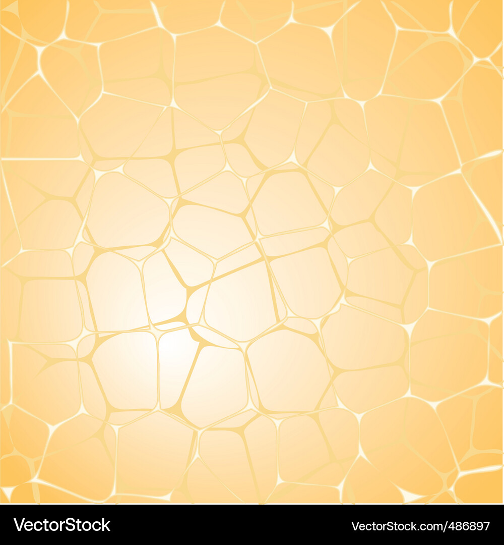 Abstract background Vector Image
