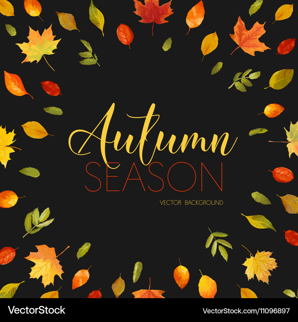 Autumn leaves background floral banner design Vector Image