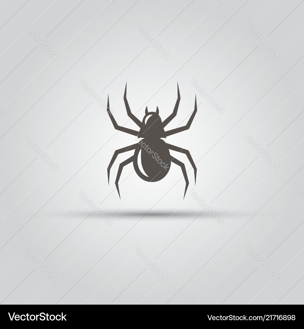 Spider isolated icon Royalty Free Vector Image