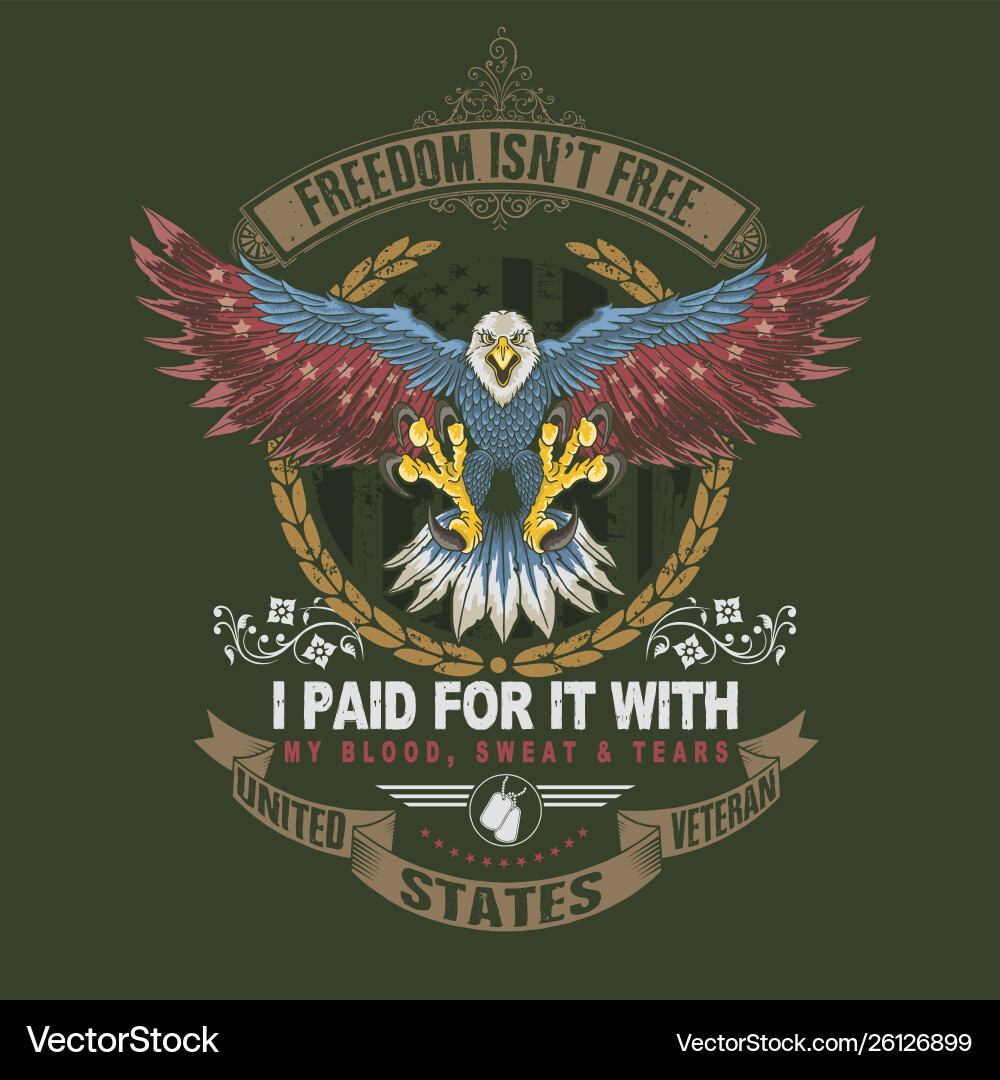 American Veteran Salute Vector Image