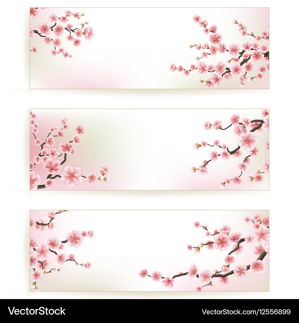Elegant Sakura Floral Banners Vector Image