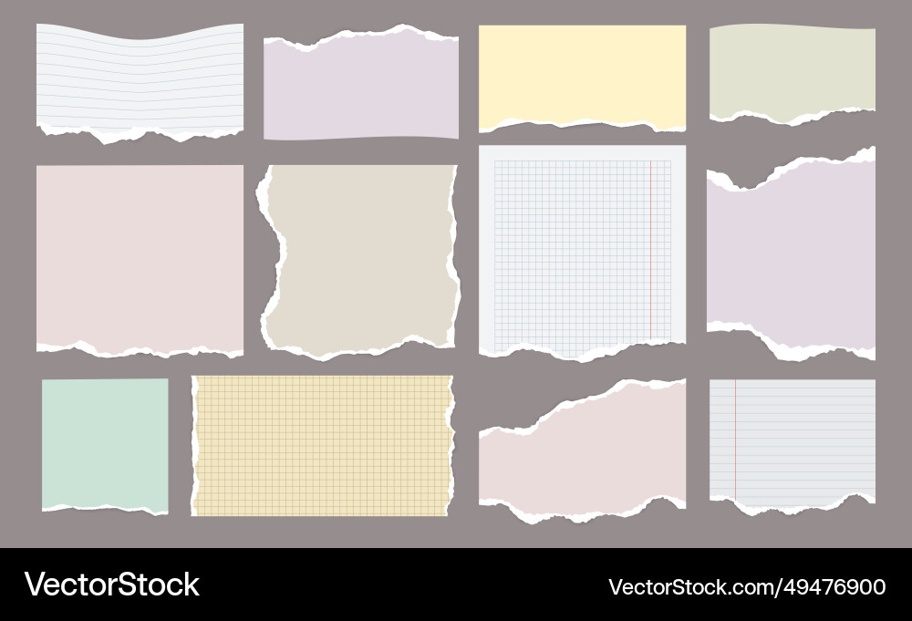 Notebook paper pieces torn blank sheet with lines Notebook paper pieces torn blank sheet with lines vector image