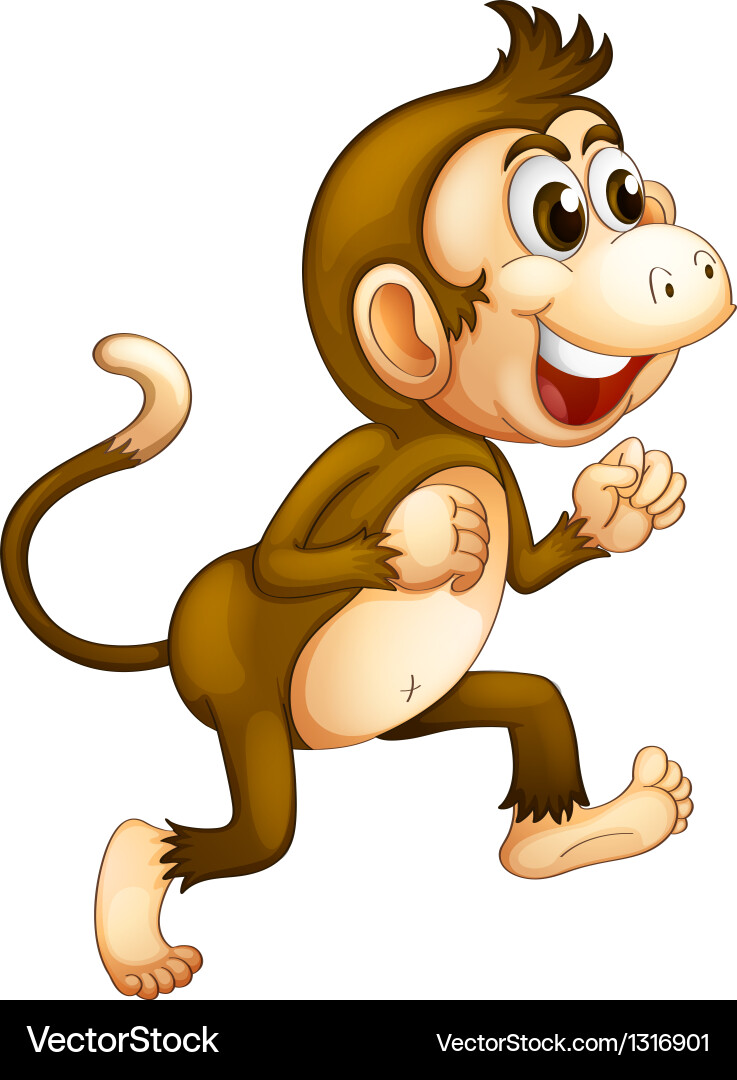 Monkey Running on White Background vector image
