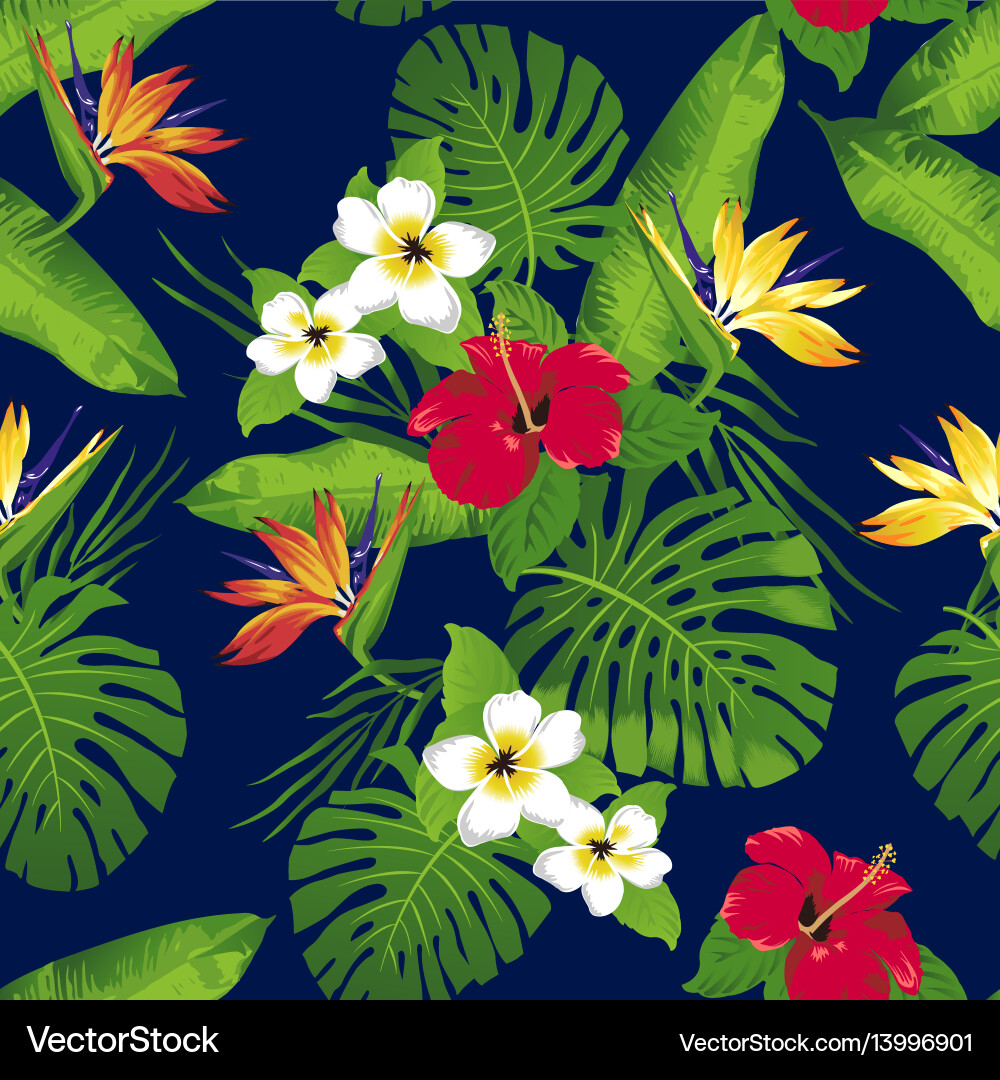 Tropical Hibiscus Flowers Vector Image