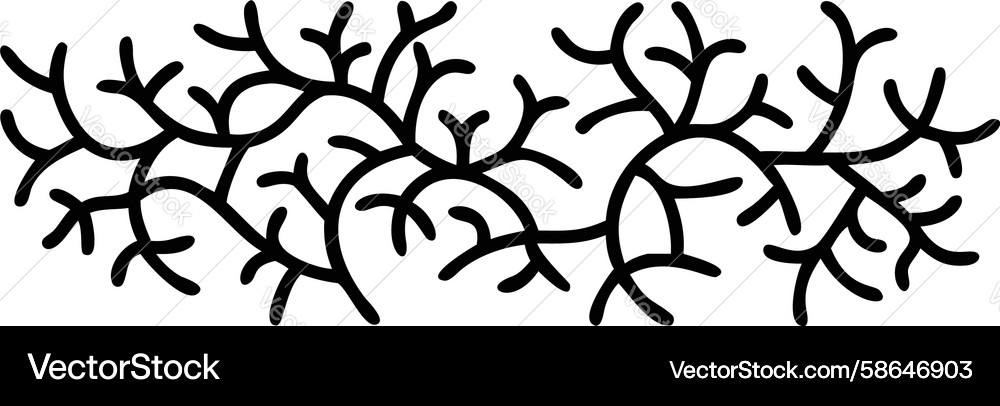 Branching Coral Pattern Vector Image