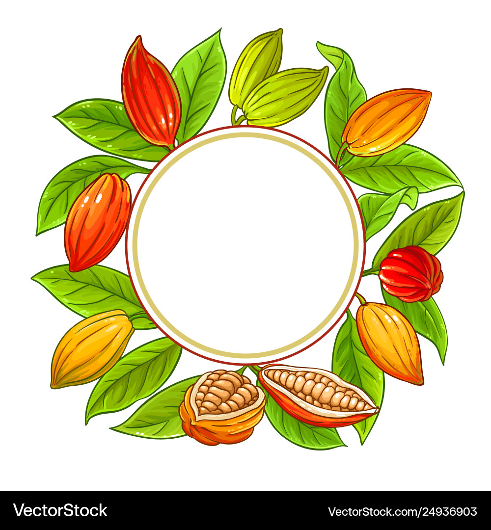 Cocoa Branch Frame - Botanical Art vector image