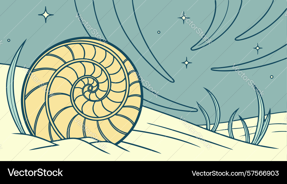 Nautilus shell with starry aurora sky design Vector Image