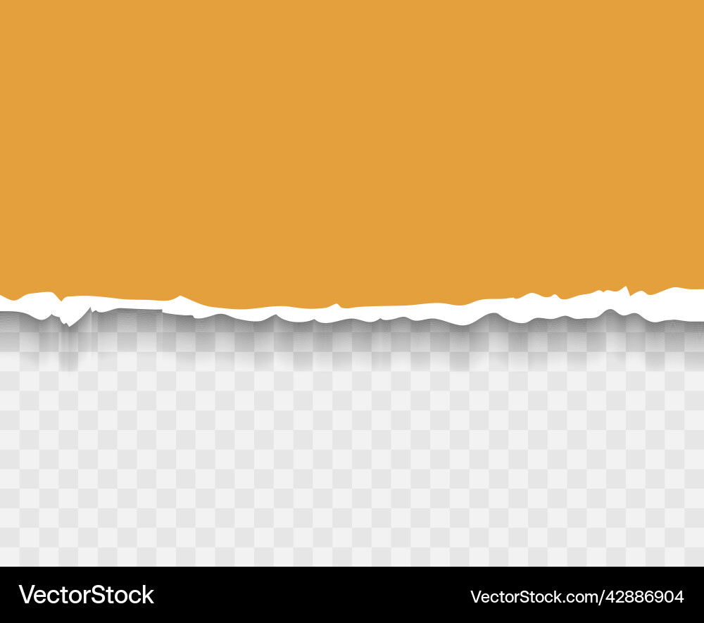 Torn paper with ripped edges and soft shadow Torn paper with ripped edges and soft shadow vector image